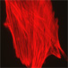 Following treatment with latrunculin, cells display severe aberrations in cell morphology and the structure of the actin cytoskeleton.